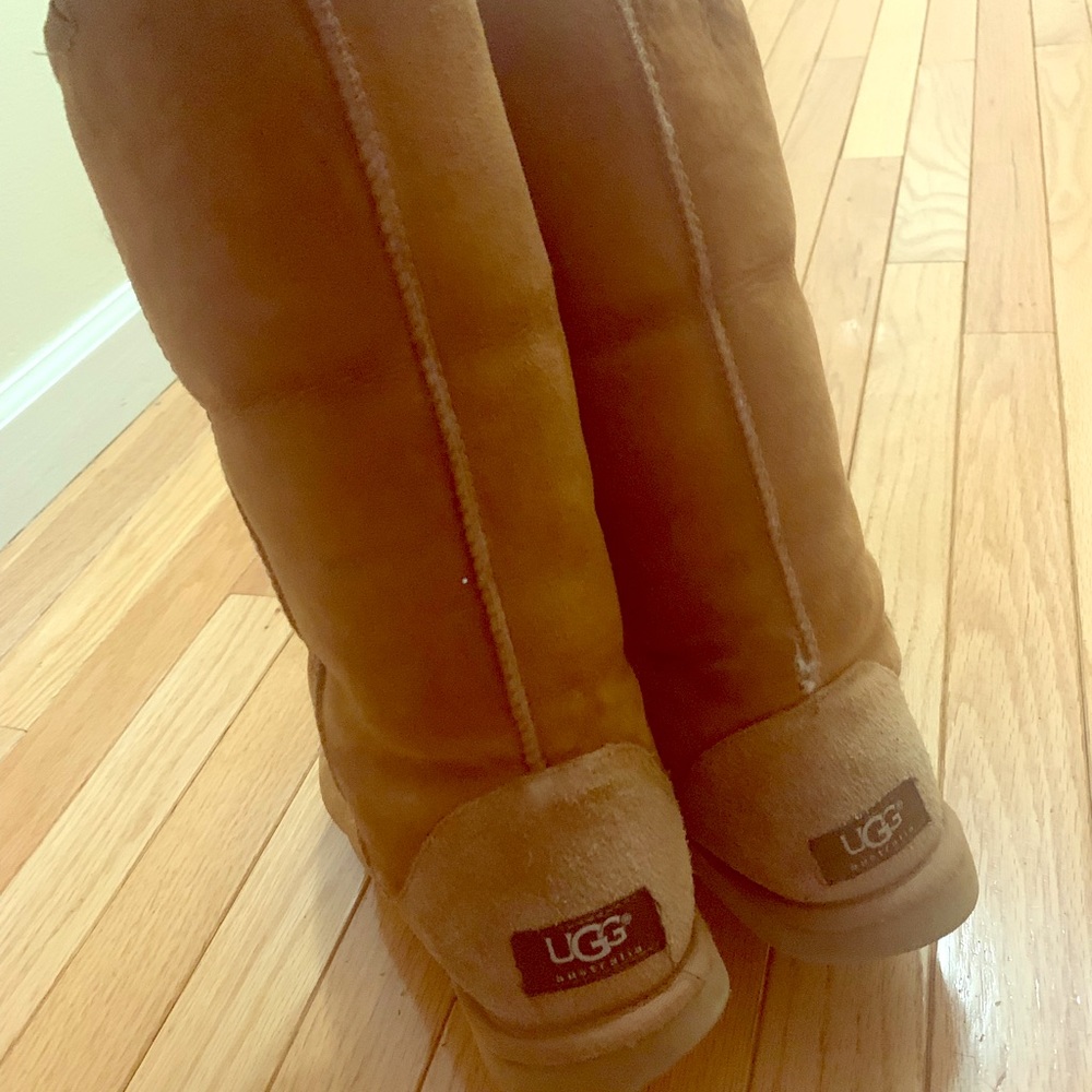 Uggs chestnut (used)